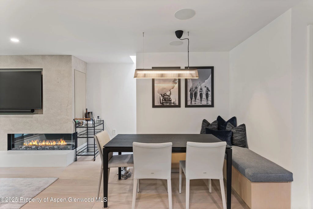 11 of 29 - 800 E Hopkins Avenue B5, Aspen, CO