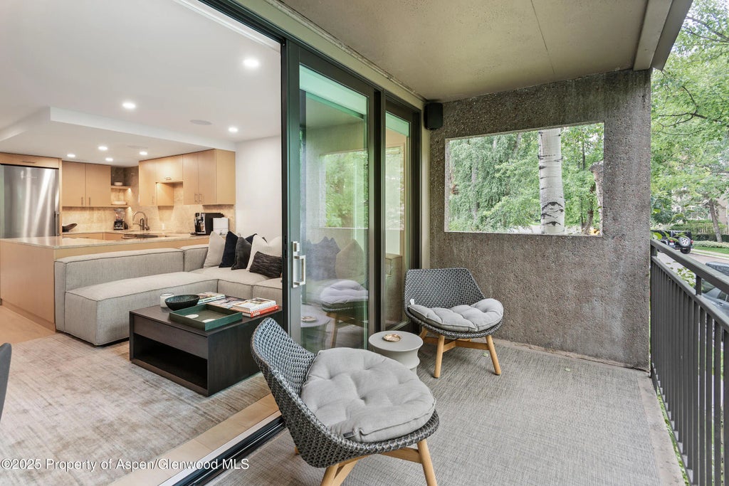 14 of 29 - 800 E Hopkins Avenue B5, Aspen, CO