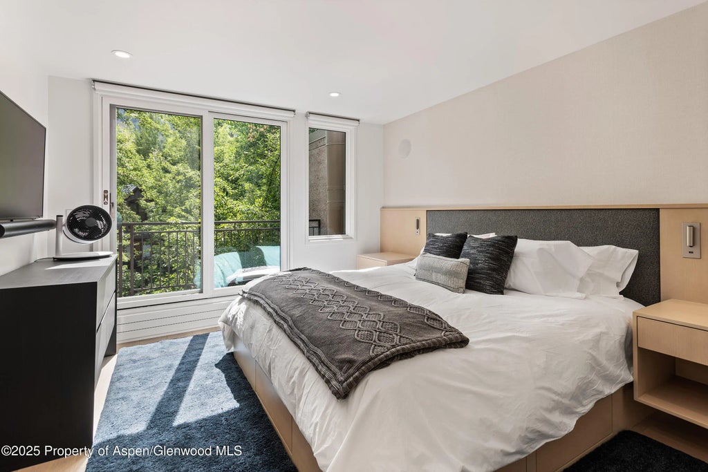 16 of 29 - 800 E Hopkins Avenue B5, Aspen, CO