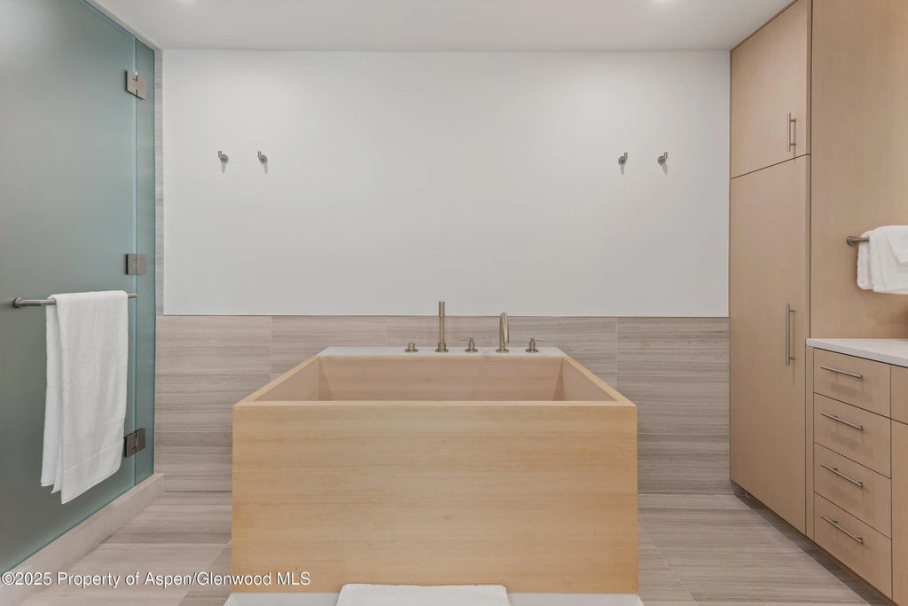 19 of 29 - 800 E Hopkins Avenue B5, Aspen, CO