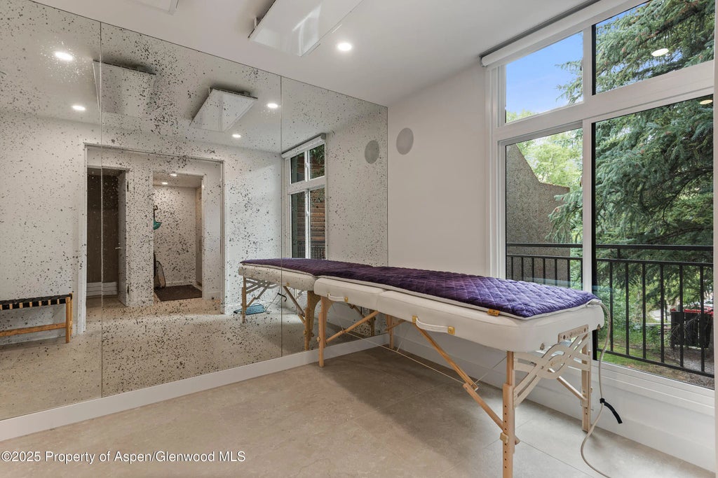 24 of 29 - 800 E Hopkins Avenue B5, Aspen, CO