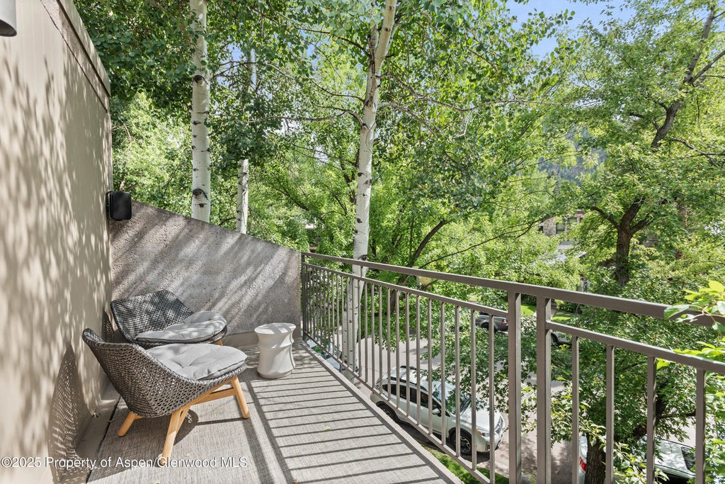 28 of 29 - 800 E Hopkins Avenue B5, Aspen, CO