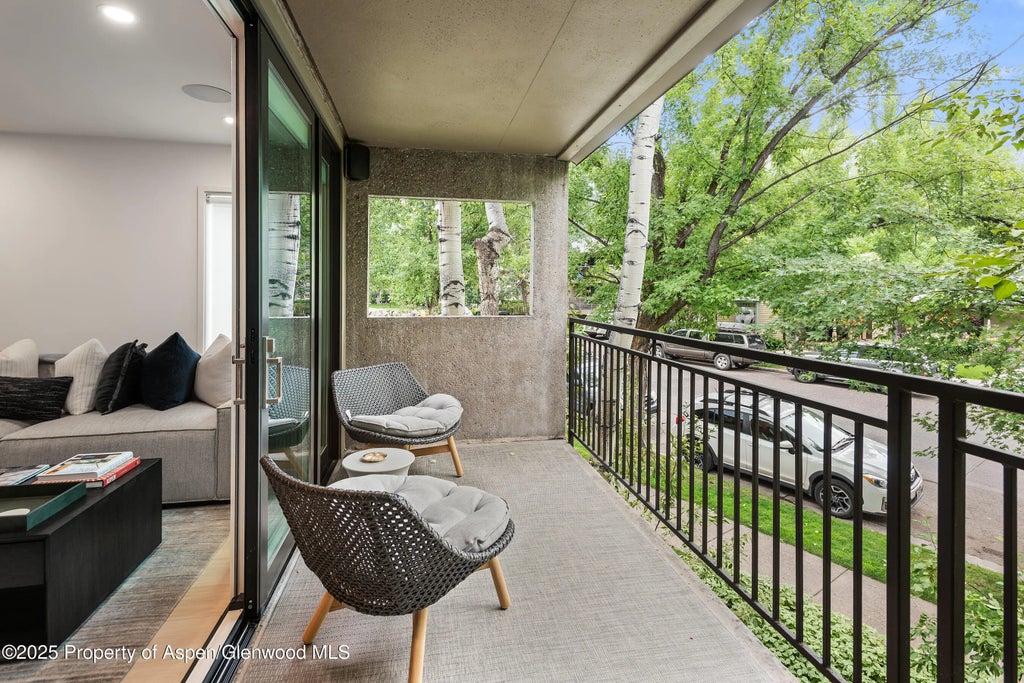 29 of 29 - 800 E Hopkins Avenue B5, Aspen, CO