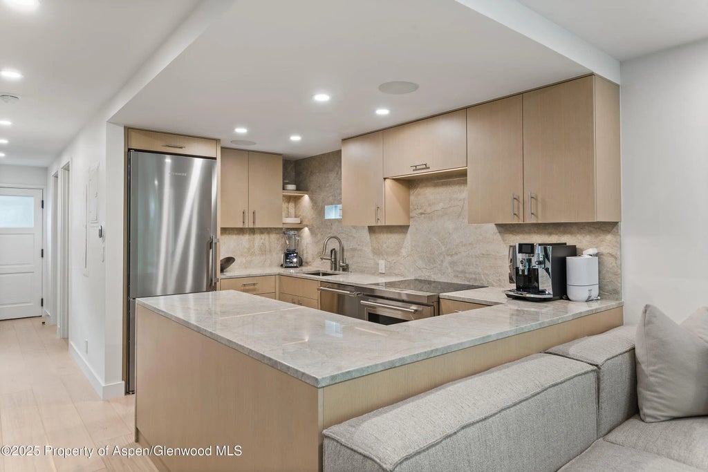 5 of 29 - 800 E Hopkins Avenue B5, Aspen, CO