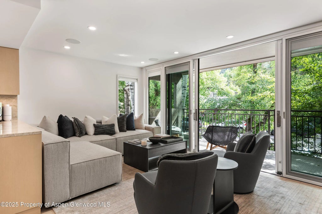 6 of 29 - 800 E Hopkins Avenue B5, Aspen, CO