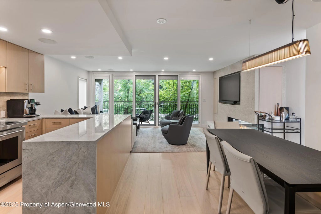 9 of 29 - 800 E Hopkins Avenue B5, Aspen, CO