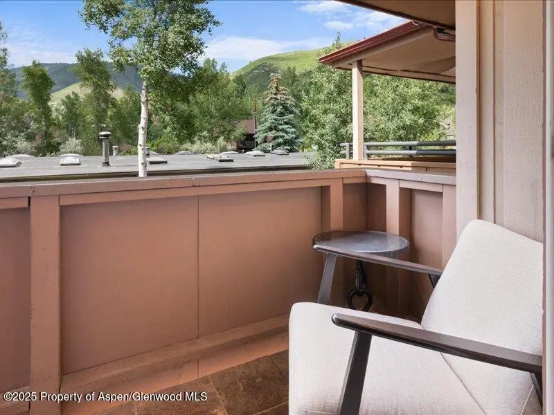 17 of 20 - 326 Midland Avenue 302, Aspen, CO