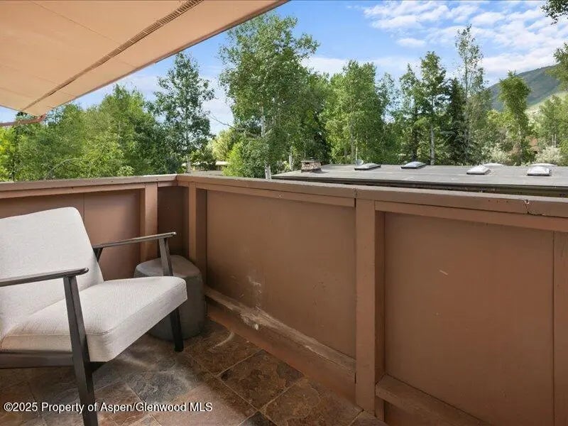 18 of 20 - 326 Midland Avenue 302, Aspen, CO