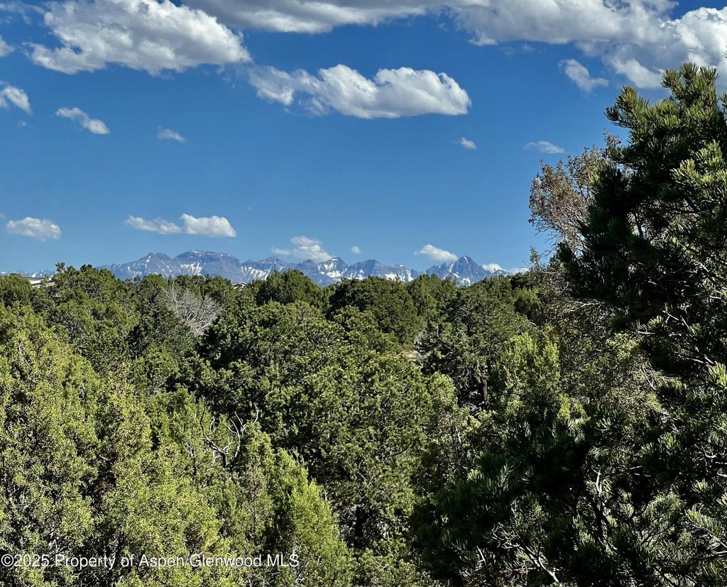13 of 14 - 61020 Tres Coyotes Trail, Montrose, CO