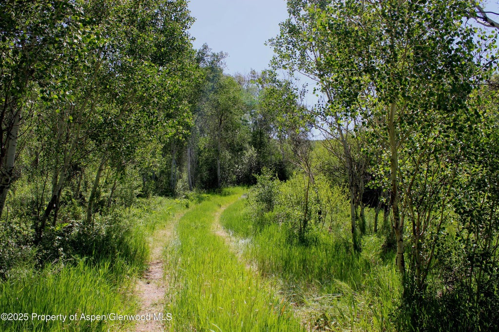 15 of 18 - Tbd Shield O Road, Snowmass, CO