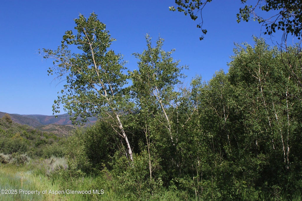 3 of 18 - Tbd Shield O Road, Snowmass, CO