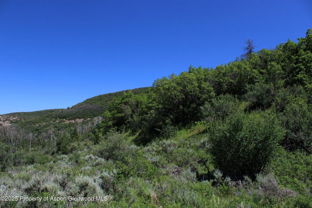 5 of 18 - Tbd Shield O Road, Snowmass, CO