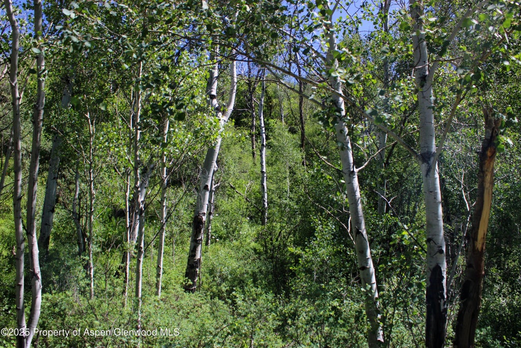6 of 18 - Tbd Shield O Road, Snowmass, CO