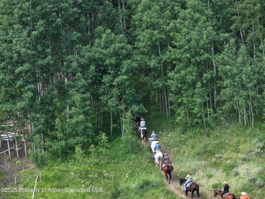 36 of 38 - 6398 County Road 4, Meeker, CO