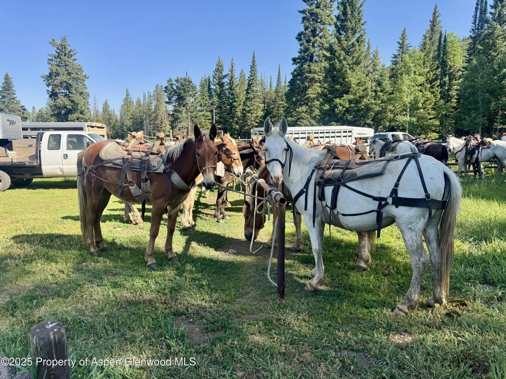 5 of 38 - 6398 County Road 4, Meeker, CO