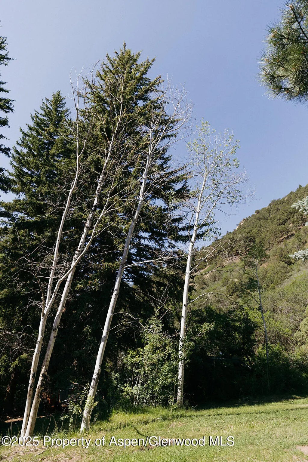 13 of 53 - 11283 Highway 133, Carbondale, CO