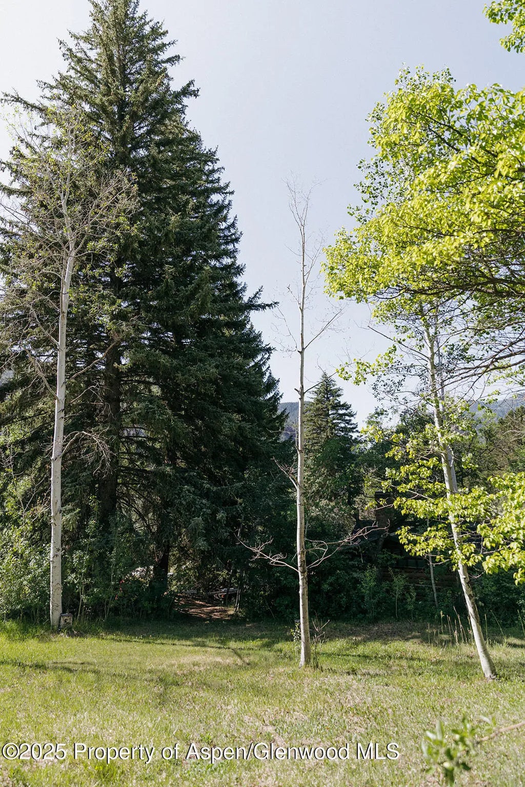 16 of 53 - 11283 Highway 133, Carbondale, CO