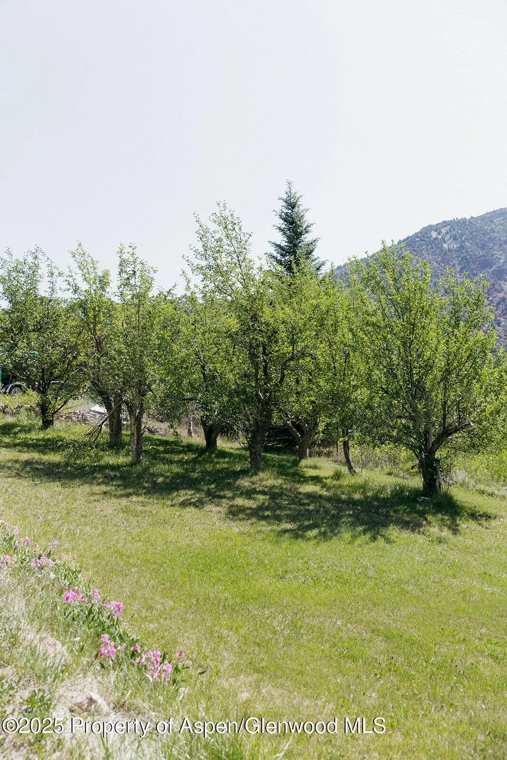 18 of 53 - 11283 Highway 133, Carbondale, CO