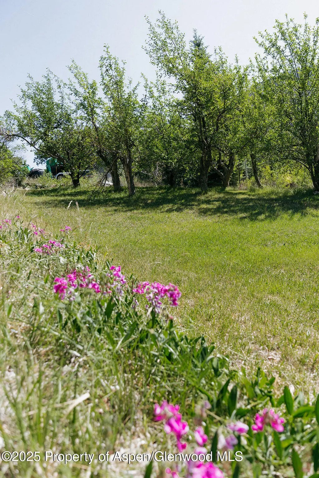 19 of 53 - 11283 Highway 133, Carbondale, CO