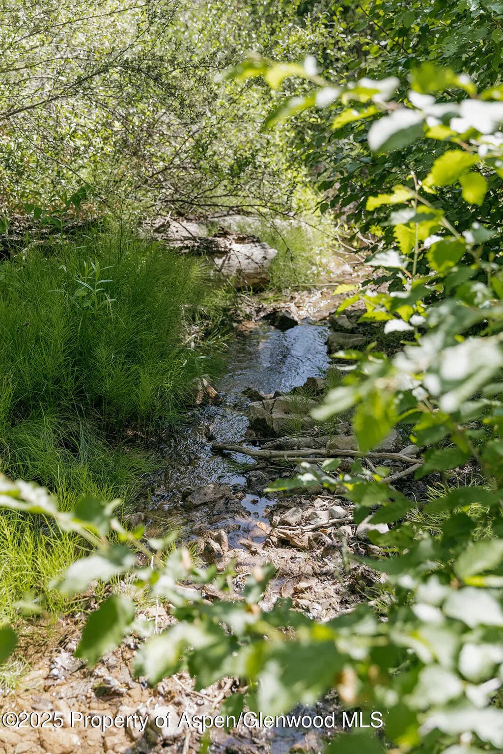 2 of 53 - 11283 Highway 133, Carbondale, CO