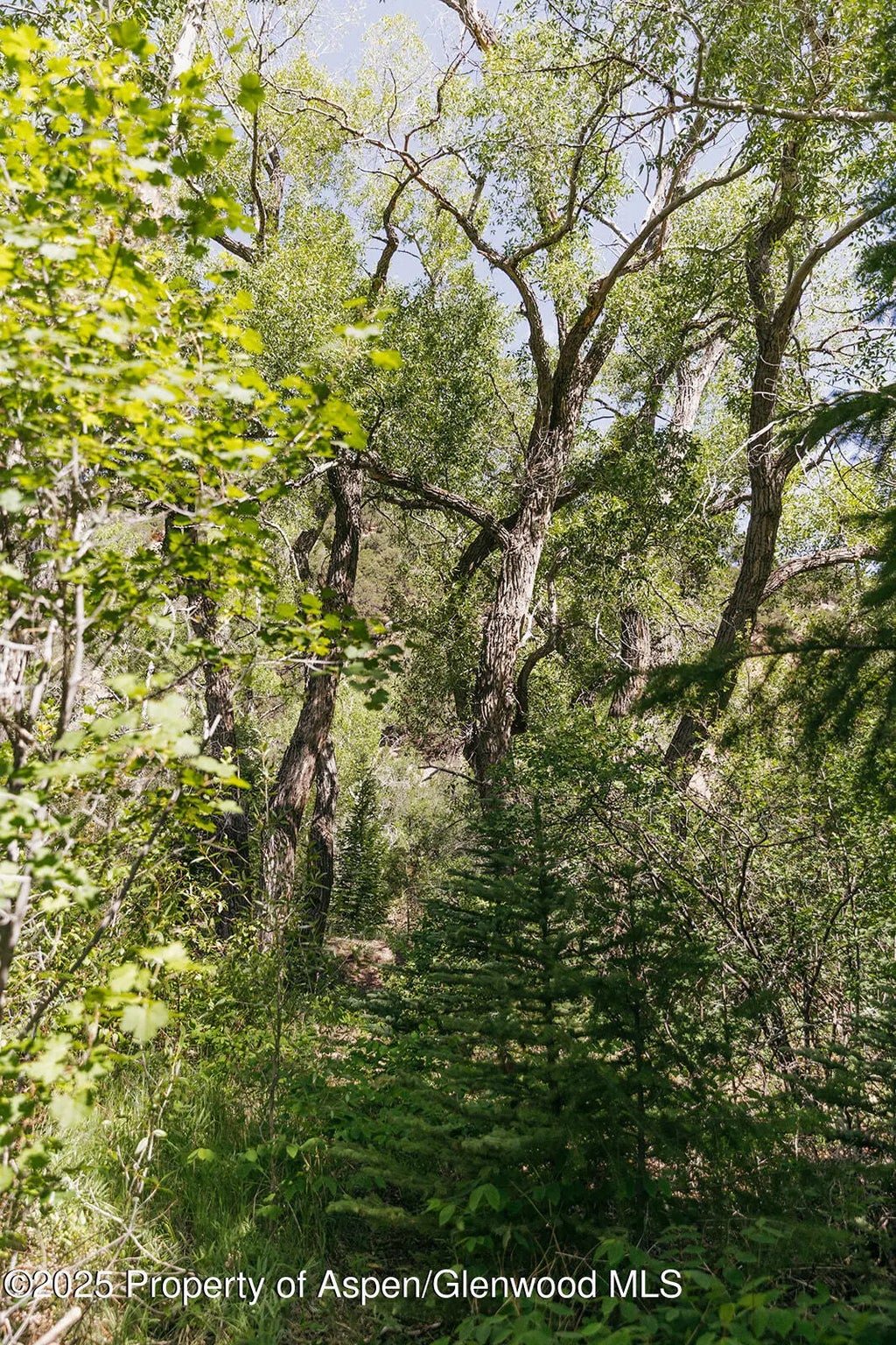 20 of 53 - 11283 Highway 133, Carbondale, CO