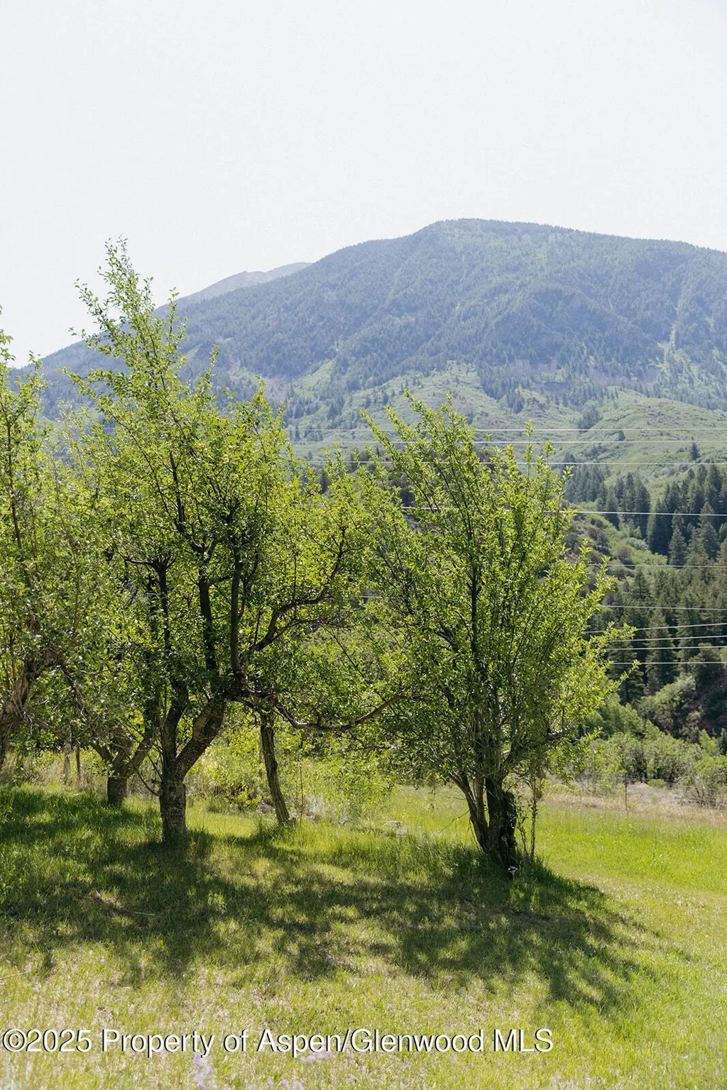 21 of 53 - 11283 Highway 133, Carbondale, CO