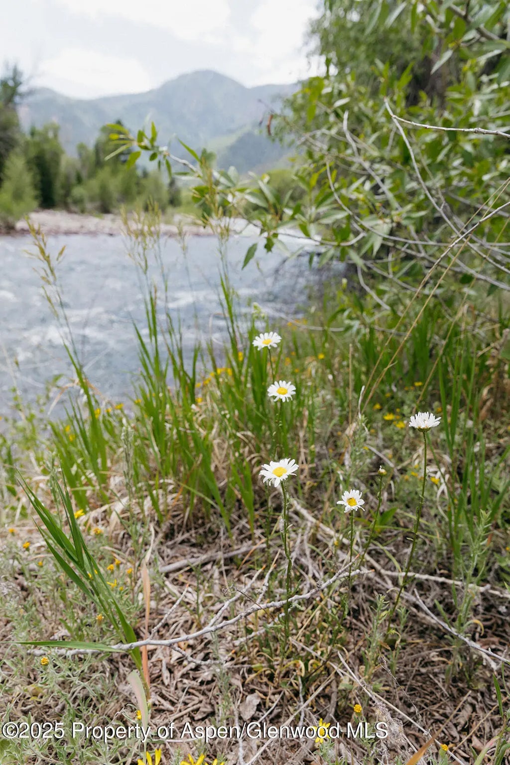 4 of 53 - 11283 Highway 133, Carbondale, CO