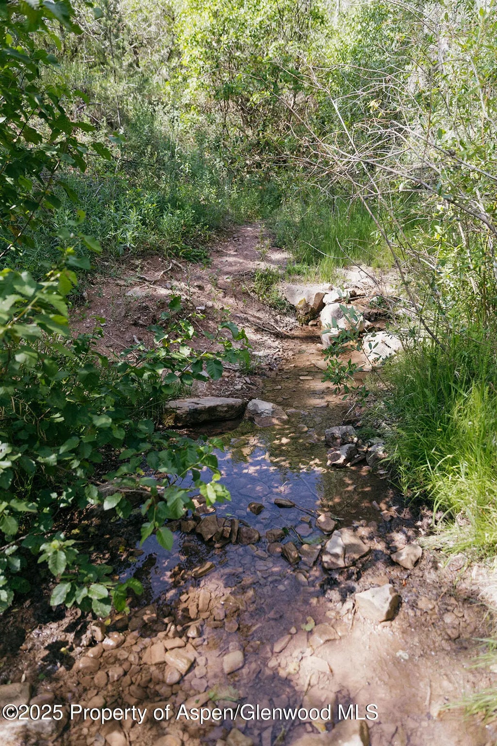 6 of 53 - 11283 Highway 133, Carbondale, CO