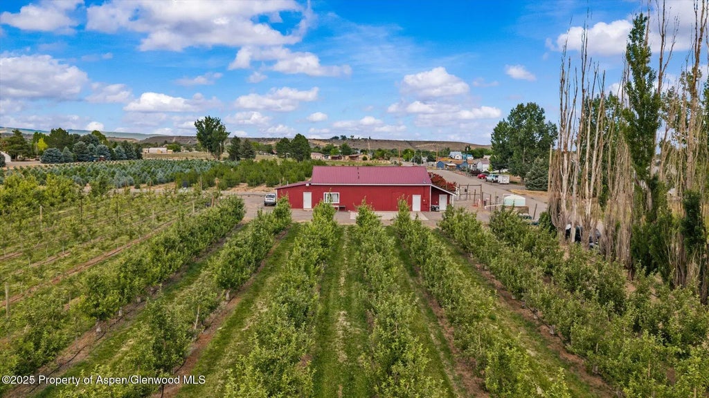 26 of 39 - 20809 Nowhere Road, Eckert, CO