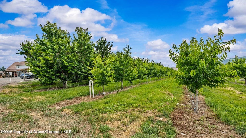 29 of 39 - 20809 Nowhere Road, Eckert, CO