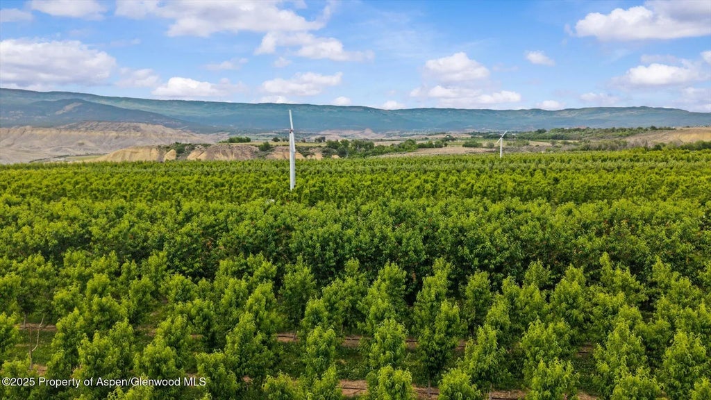 31 of 39 - 20809 Nowhere Road, Eckert, CO