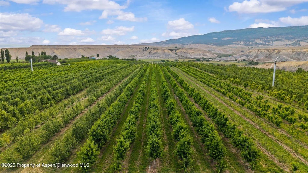 32 of 39 - 20809 Nowhere Road, Eckert, CO