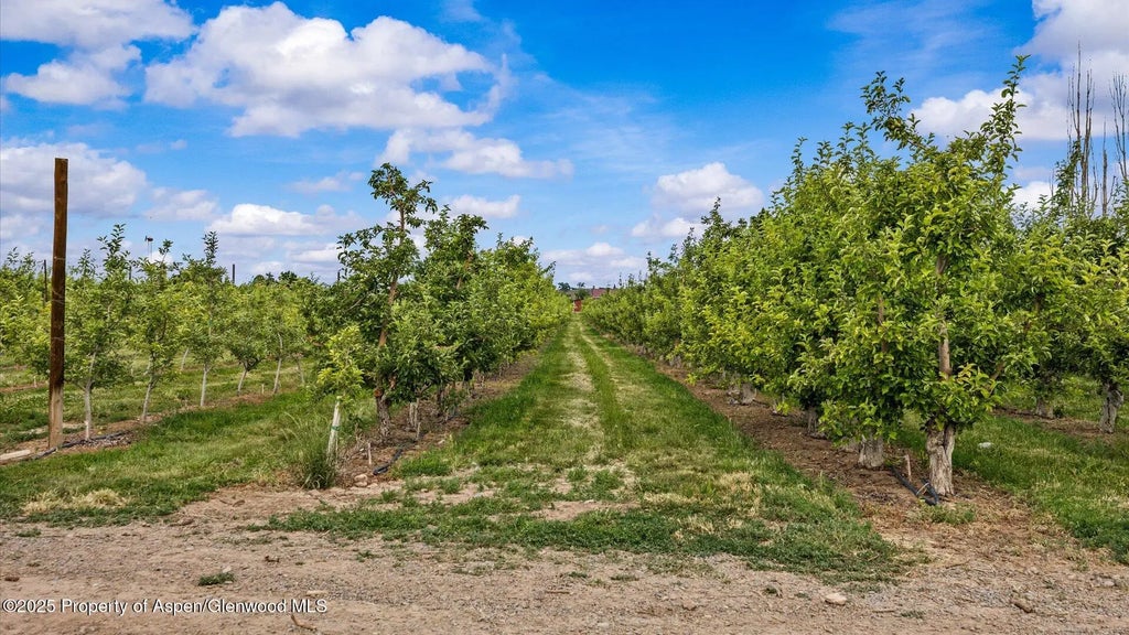34 of 39 - 20809 Nowhere Road, Eckert, CO