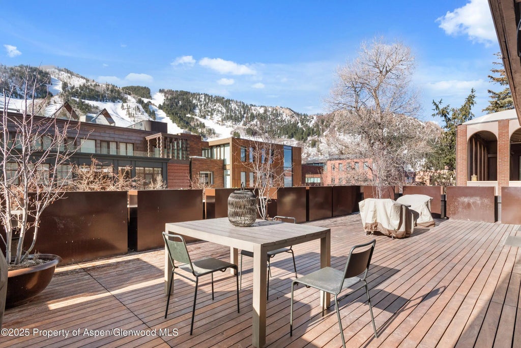 25 of 69 - 616 E Hyman Avenue, Aspen, CO