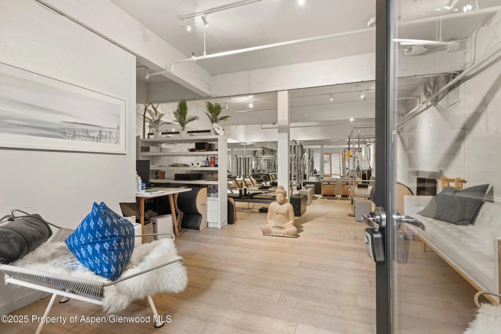 45 of 69 - 616 E Hyman Avenue, Aspen, CO