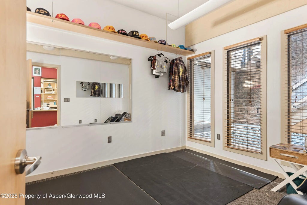 47 of 69 - 616 E Hyman Avenue, Aspen, CO