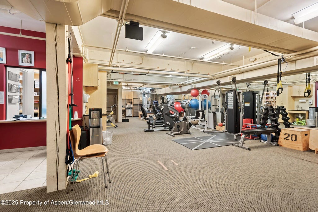 48 of 69 - 616 E Hyman Avenue, Aspen, CO