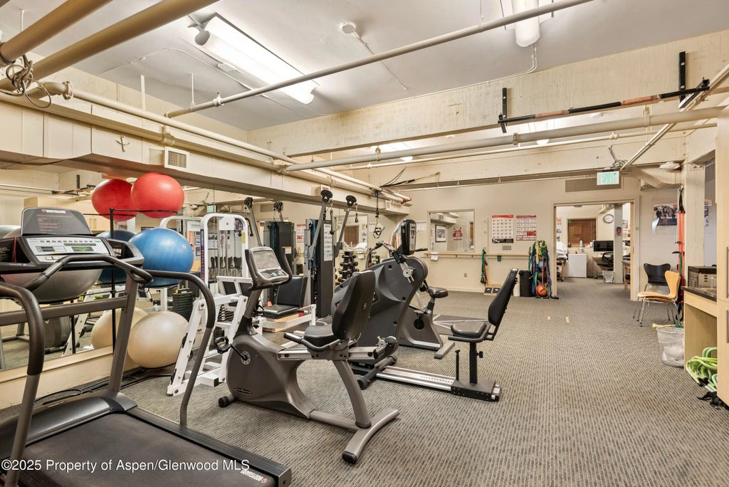 53 of 69 - 616 E Hyman Avenue, Aspen, CO