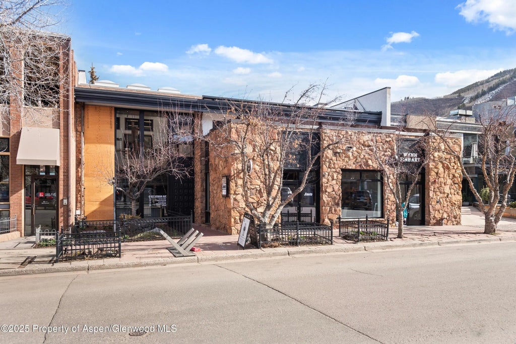 68 of 69 - 616 E Hyman Avenue, Aspen, CO