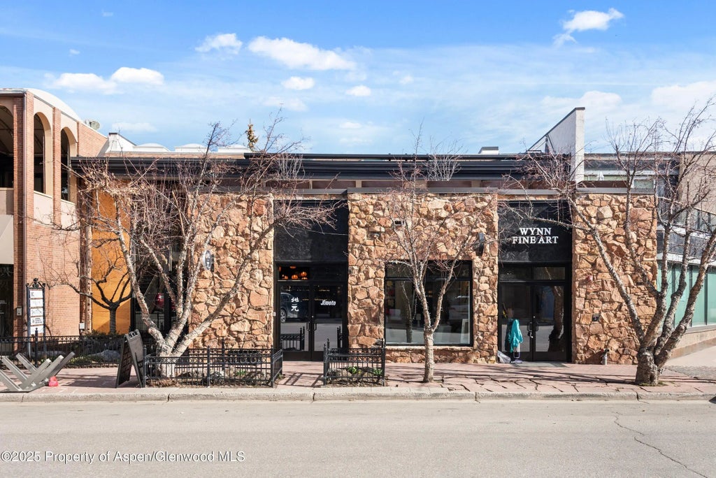 69 of 69 - 616 E Hyman Avenue, Aspen, CO