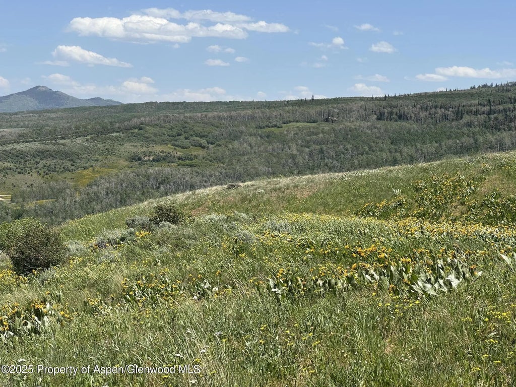 10 of 22 - 2964 Timberlane Drive, Craig, CO