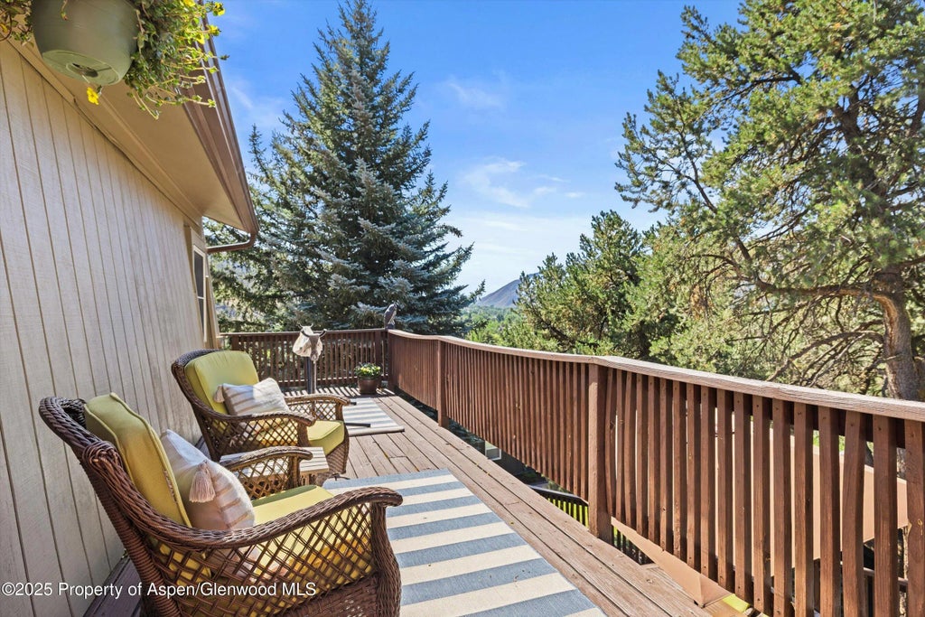 18 of 23 - 217 Longhorn Lane, Basalt, CO