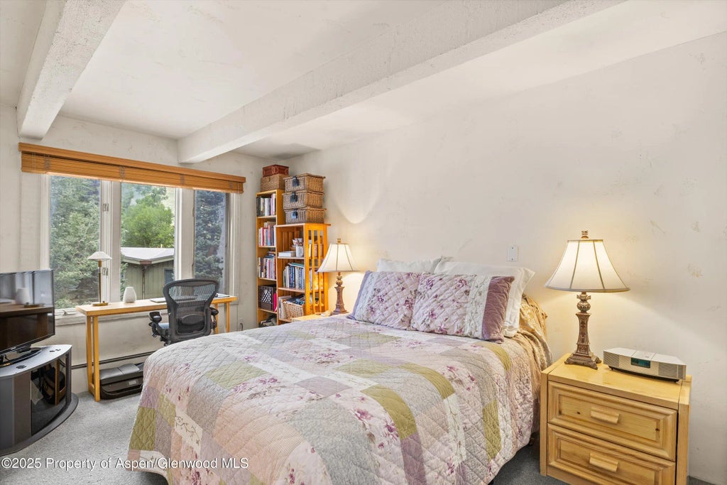 10 of 28 - 124 W Hyman Avenue 3b, Aspen, CO