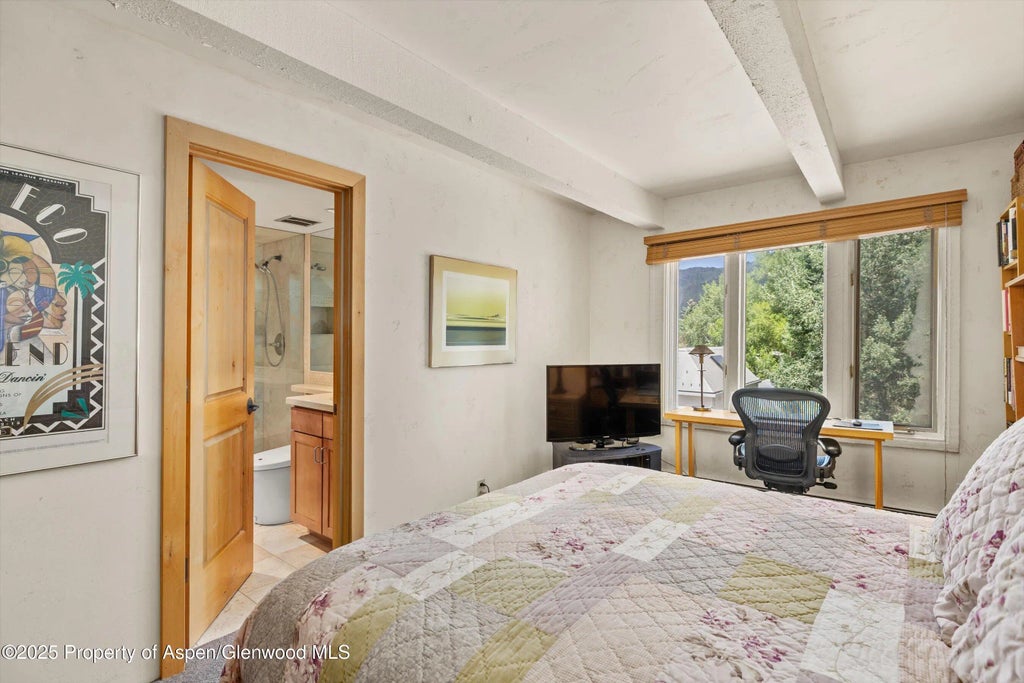 11 of 28 - 124 W Hyman Avenue 3b, Aspen, CO