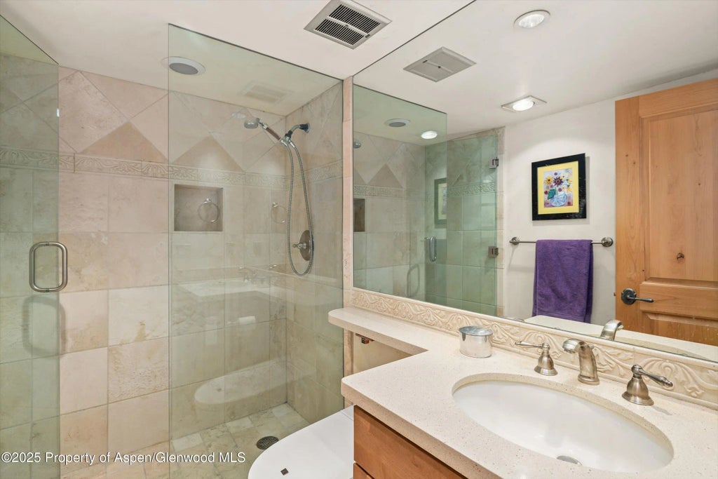 12 of 28 - 124 W Hyman Avenue 3b, Aspen, CO
