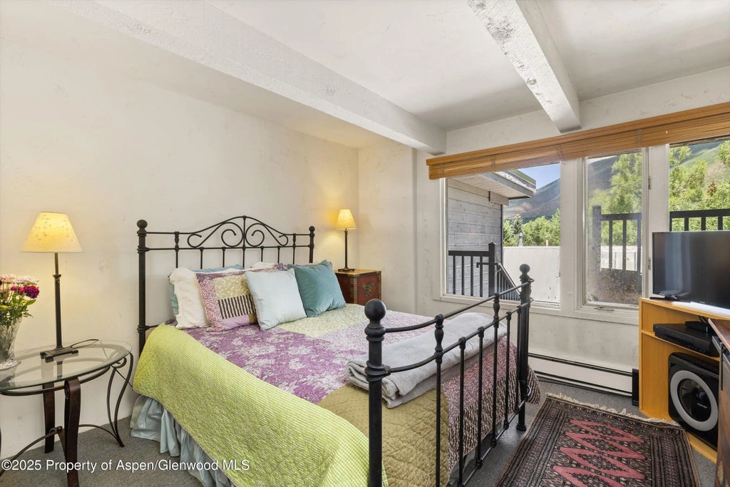 13 of 28 - 124 W Hyman Avenue 3b, Aspen, CO
