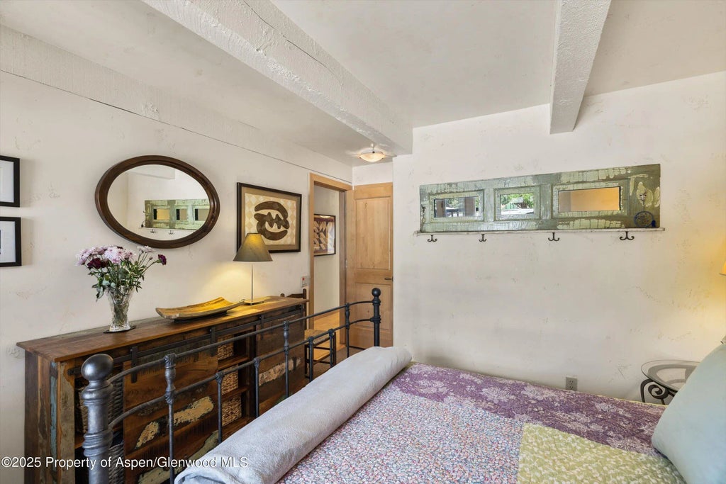 14 of 28 - 124 W Hyman Avenue 3b, Aspen, CO