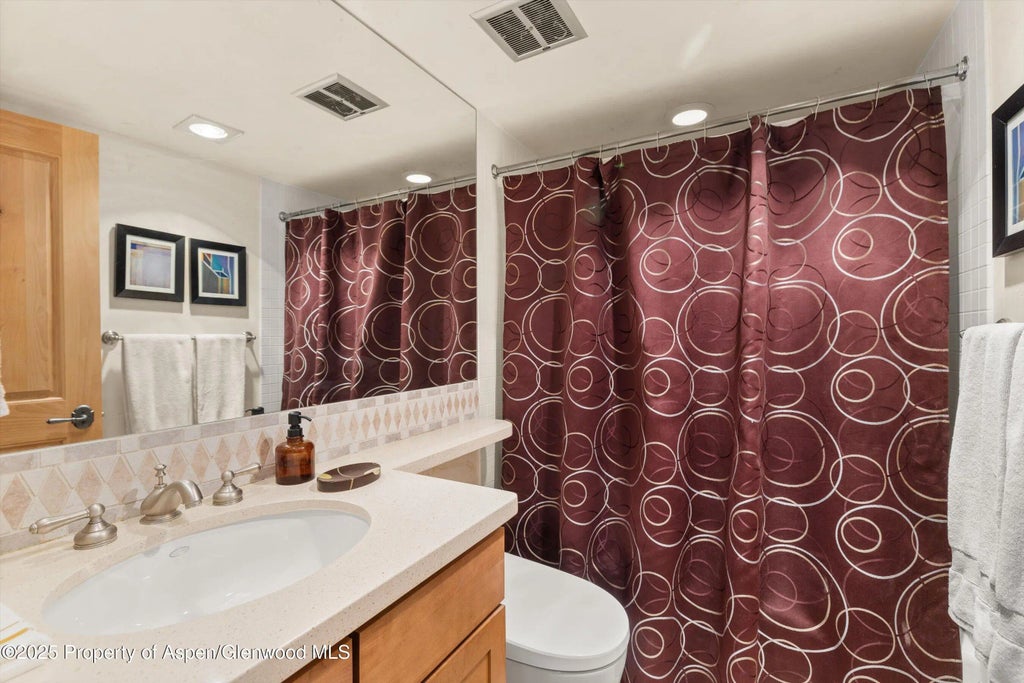 15 of 28 - 124 W Hyman Avenue 3b, Aspen, CO