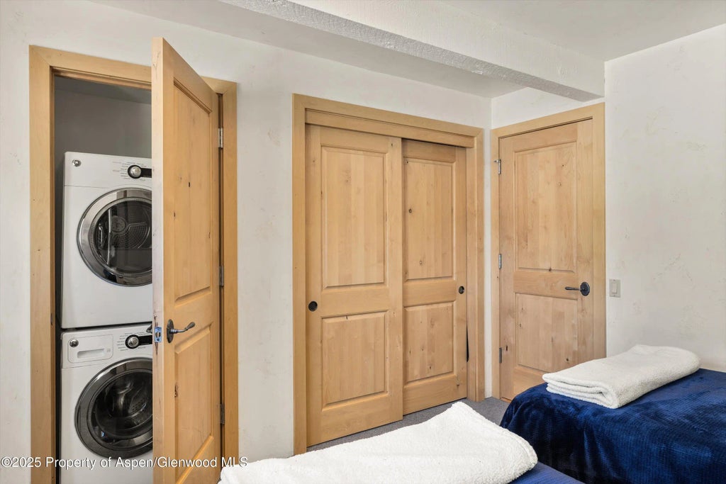 18 of 28 - 124 W Hyman Avenue 3b, Aspen, CO