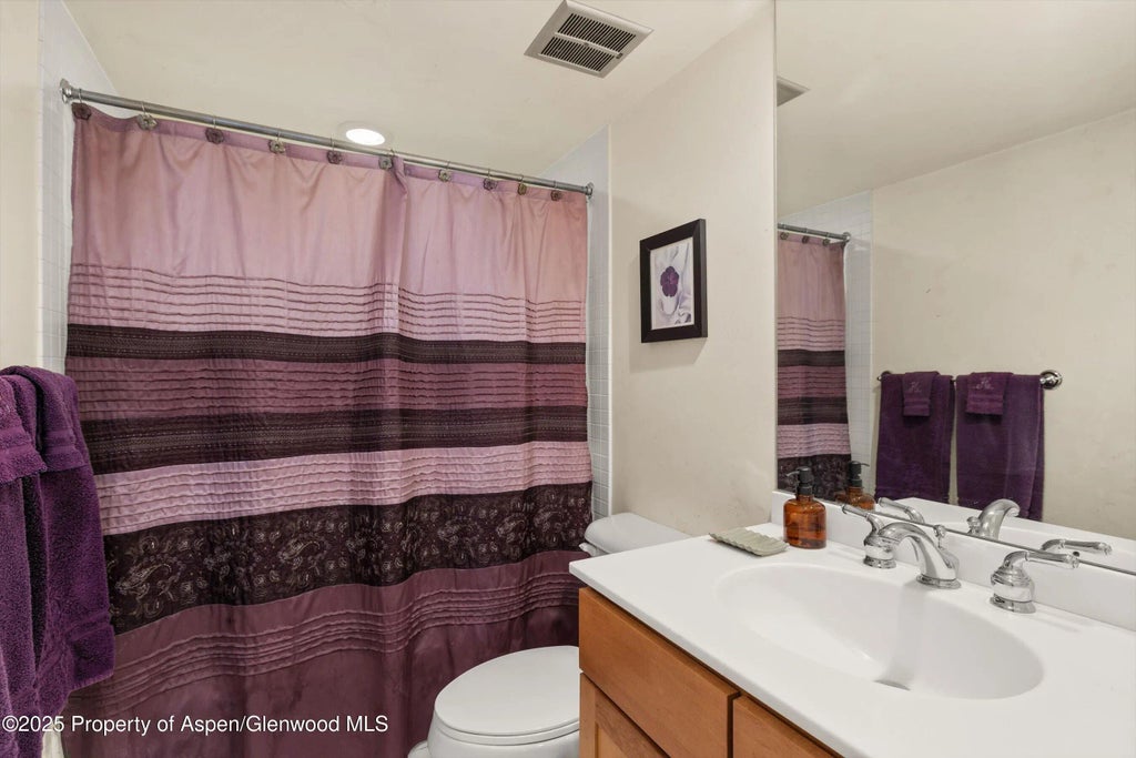 19 of 28 - 124 W Hyman Avenue 3b, Aspen, CO